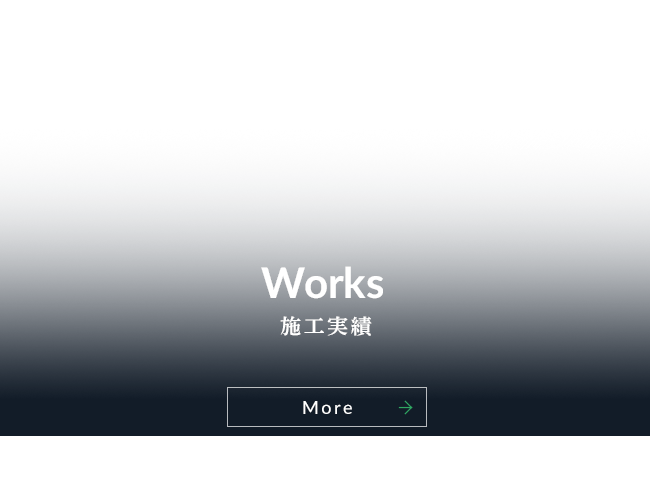 bnrhalf_works_cover